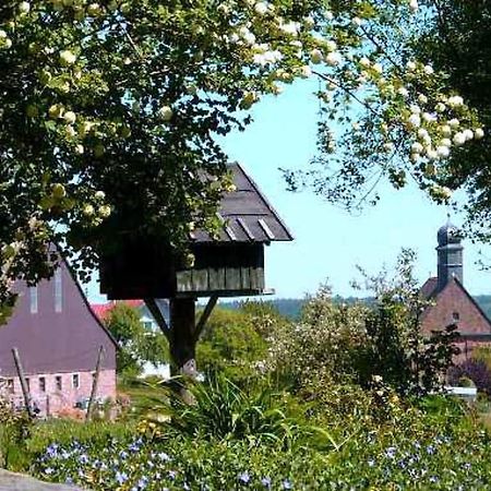 Gasthaus-Pension Zum Brandweiher Amorbach Exteriör bild